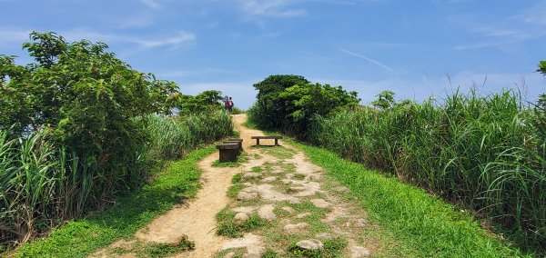 2024-04-20南子吝登山步道2484622