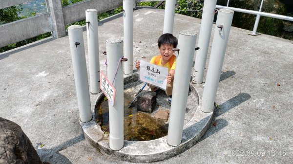 旗尾山封面