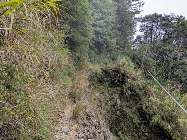 2021-12-23小關山林道神池小關山1561720