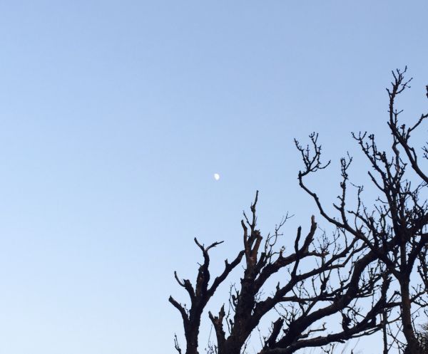 夢幻湖、七星山主東峰183387