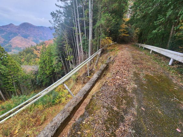 20251125登月居山遊袋田瀑布順遊舊上岡小學校2958364