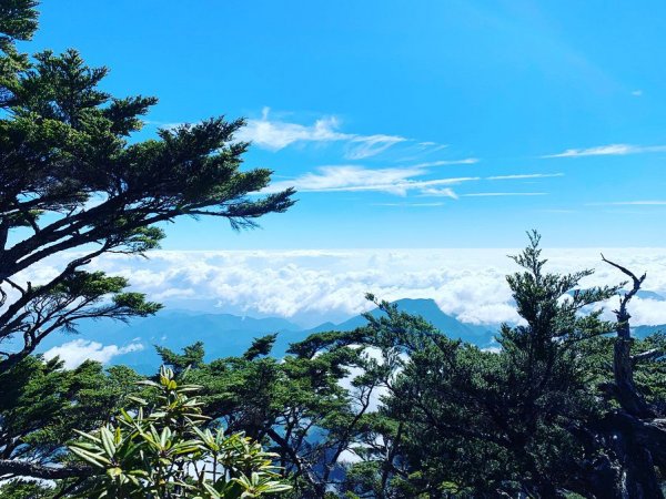 ［北大武］雲海與鐵杉壯麗之美823302