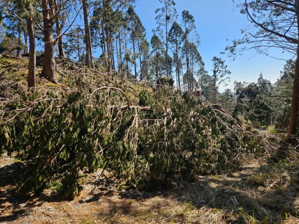 20250130三星山-三星池-翠峰湖-望洋山2702590