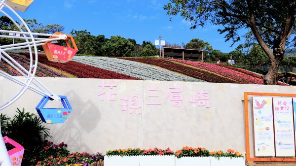 三層崎的呢喃2692127