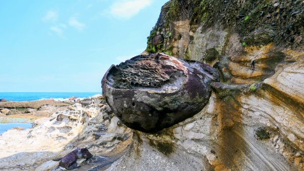 洄瀾東海岸3006683