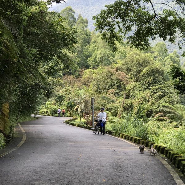 小百岳 編號89號 鯉魚山893513