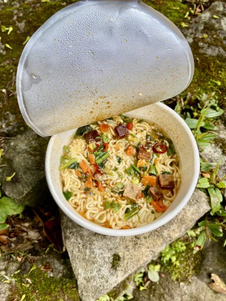 《中正山 × 紗帽山｜穿越北投古道與山林的一日縱走！》2934993