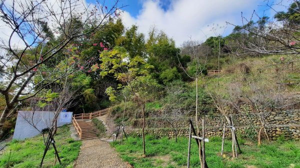 《台中》聖光降臨｜龍井竹坑南寮登山步道202201301595916