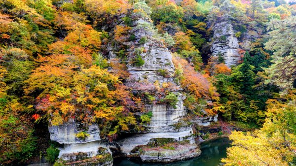 福島縣塔之斷崖2930298