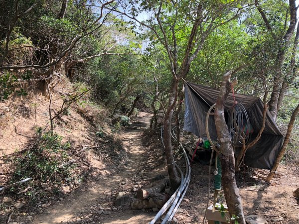 2020.03.08里龍山878281