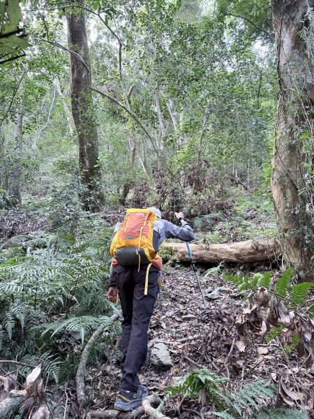 完登新南橫三星-馬馬宇頓山   2026.3.273027490