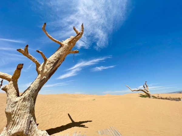 多彩塞北阿拉善.騰格里沙漠六湖穿越2919963