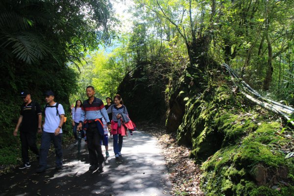 烏來內洞森林遊樂區 20181021444477