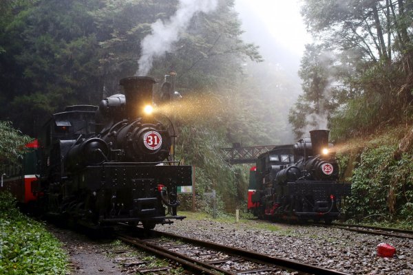 【新聞】百年蒸汽火車同框 Shay Shay 相聚阿里山