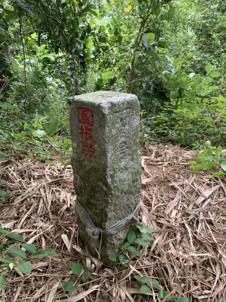 20250906台南蚵殼坑山-九層嶺-三十六崙山-洋子寮山2881497