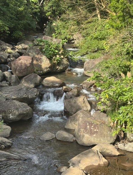 登峰古圳訪高頂山 北五指山 出荷蘭古道 快閃聖人瀑布2982305