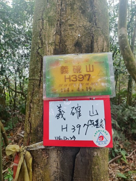 飛沙龍逆走2988870