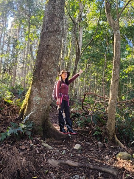 高島縱走202502152713757