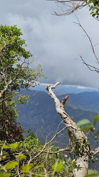 【沒事夏天別走】巴層巴墨山2806747