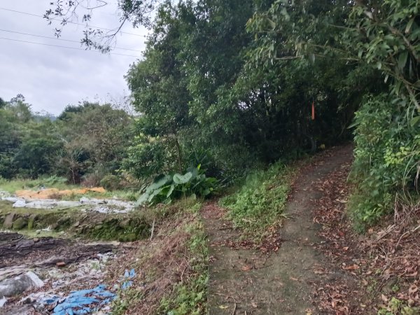 雙溪區彎穹平林山+平湖東步道+紙坑古道(億山煤礦)+紙坑山出平水聚落O型2965785
