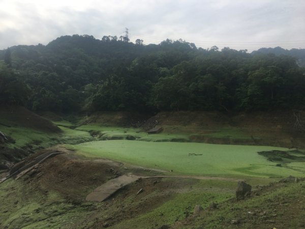 石牛山（桐花片片青青草原2482762