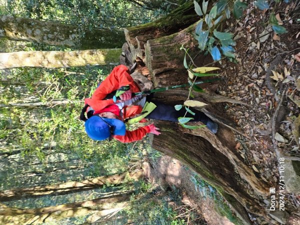 【谷關七雄】屋我尾山(H1796m)＆屋我尾山北峰(H1784m)熱身行2670232