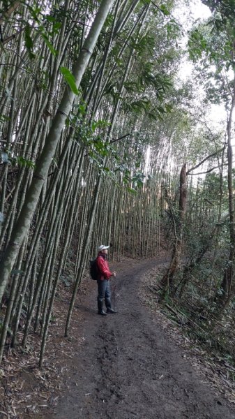 熱血一日霞喀羅賞楓之旅2784986