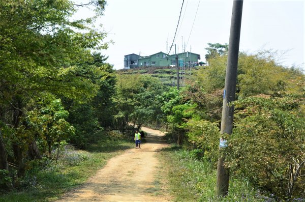 後棟仔山 & 雲嘉大尖山1378304