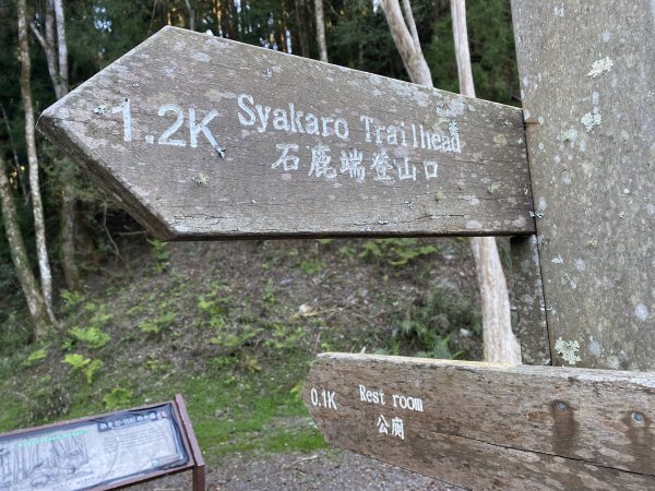 《走進百年前的山林｜霞喀羅古道22K縱走．一條被歷史刻下痕跡的路》3029908