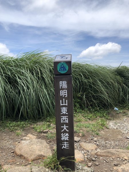 【七星山】台北第一高峰(小百岳No.2)626116