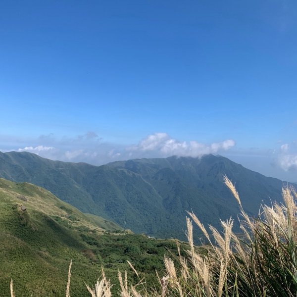 七星山主峰、東峰3124768