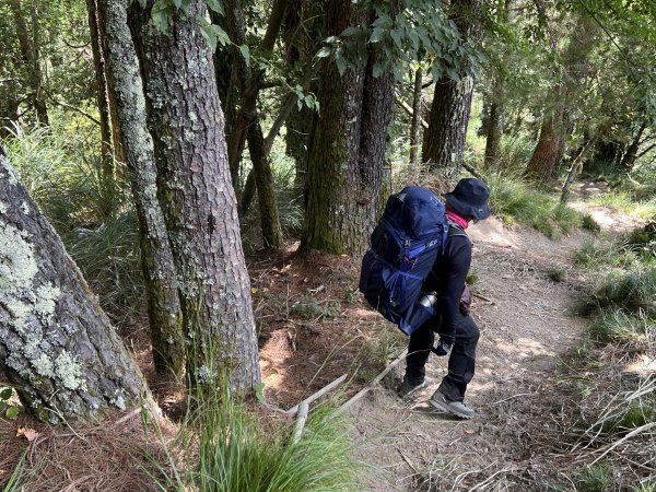 屏風山屋住一晚2916004