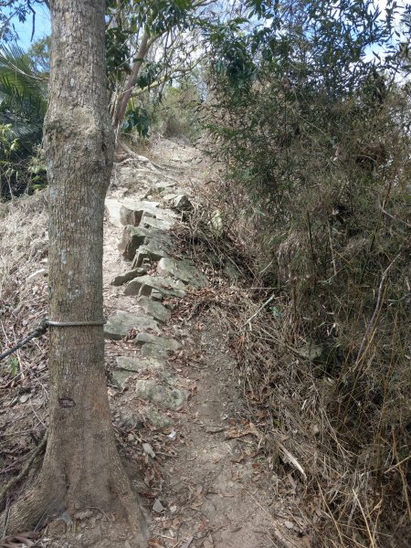 刣牛湖山(小百岳#70)登山步道1377400