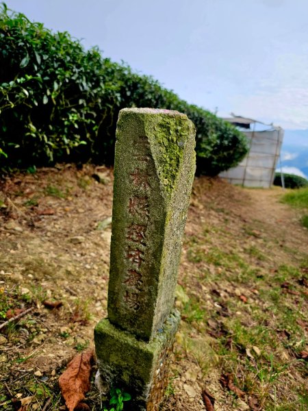 挑筍古道(大尖山、後棟仔山步道)--(雲林)臺灣百大必訪步道2955748