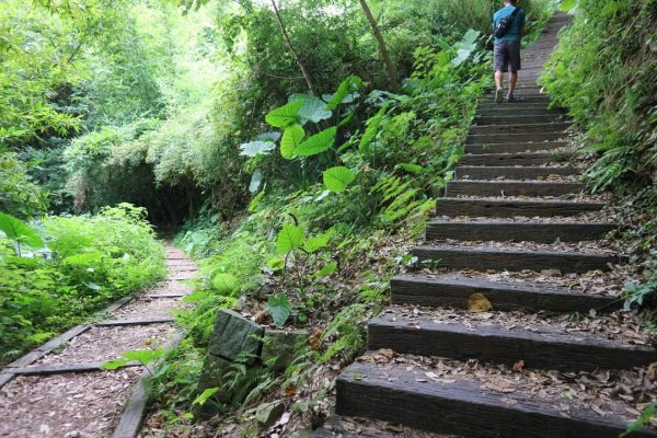 〔北投〕半嶺吊橋 半嶺水圳古道 半嶺瀑布 松溪瀑布。剛完工不久，滿滿森林芬多精的半嶺水圳步道2220909