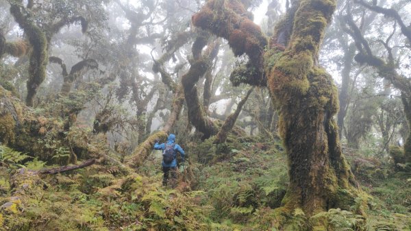 茶仁山單攻2025年4月4日2753337