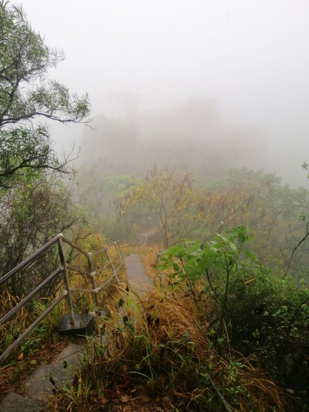 高雄大社~健身踏青好選擇~小百岳觀音山907990