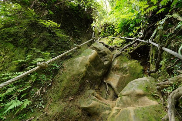 臺北 文山 指南山、猴山岳、魚衡山、大前坑山、猴山坑山、祥光寺後山、金頭山2774970