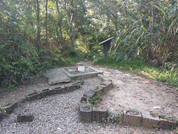 貓空隨意行［樟湖步道、待老坑山、杏花林、明德宮、樟山寺］及政大小坑溪親水文學步道(2021/4/6)1417884