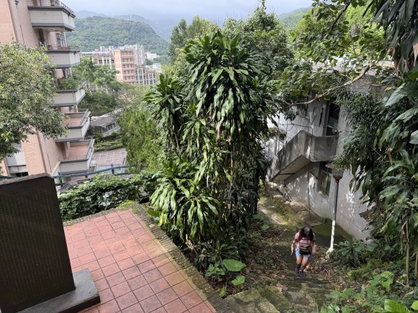 劍潭山+老地方202507192863866