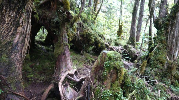 三星池登山健行趣1789866