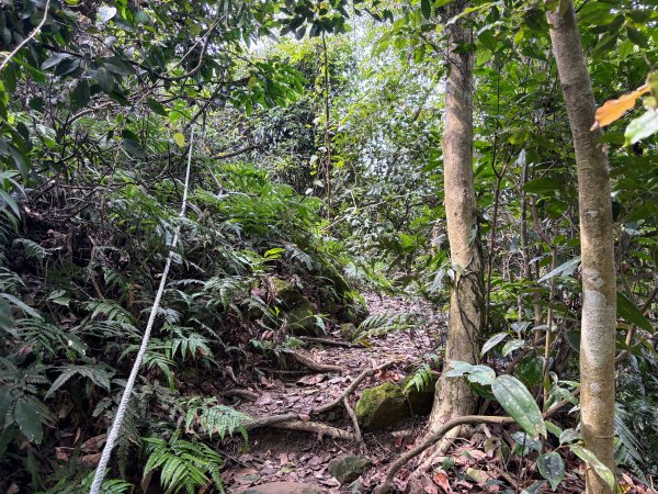 暗影山步道2753092