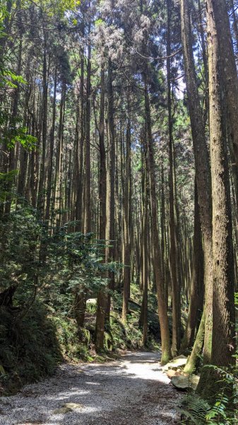 橫沙笛縱走 (木馬古道、橫嶺山、沙蓮山、笛吹山)2550364