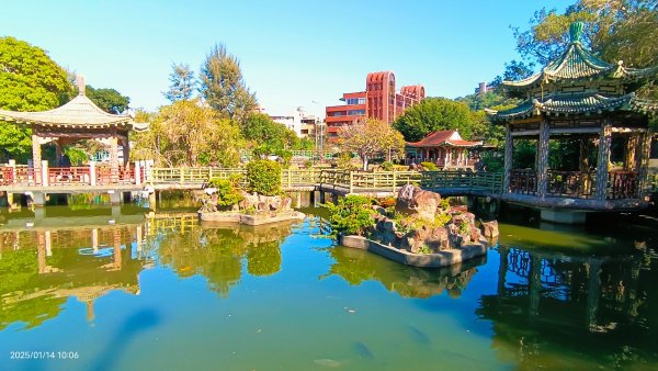 雙溪公園賞花&原住民公園落羽松&故宮1/142689939