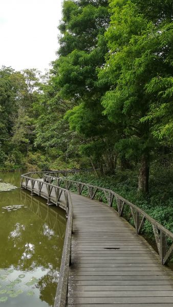 20180707漫步福山植物園380559