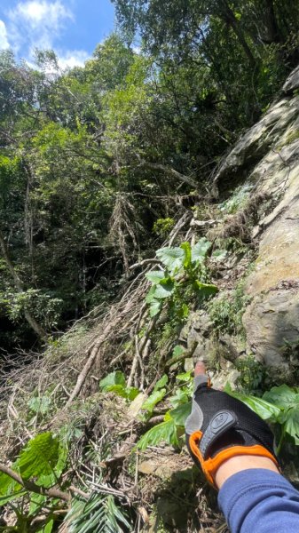 烏來阿玉溪山/西坑林道/探勘派出護管所彈藥庫遺址至獅坑橋2582015
