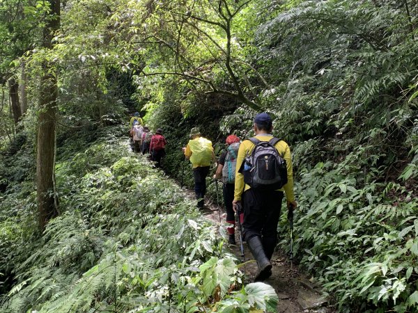 20250614南投南鳳凰山2813258