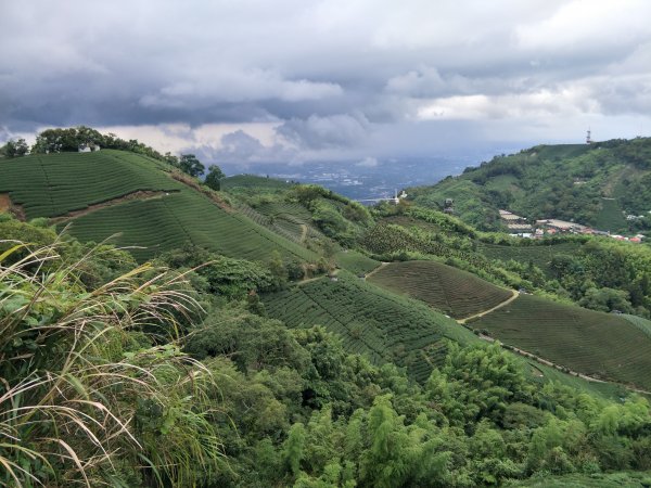 大巃頂步道(紅南坑森林古道)202105051419635