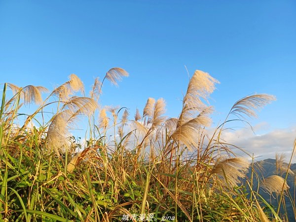【新北。瑞芳】直上階梯朝聖百萬夜景。 小百岳集起來。 編號6小百岳 基隆山步道1570174