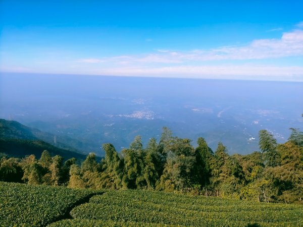 雲嘉連峰2365700